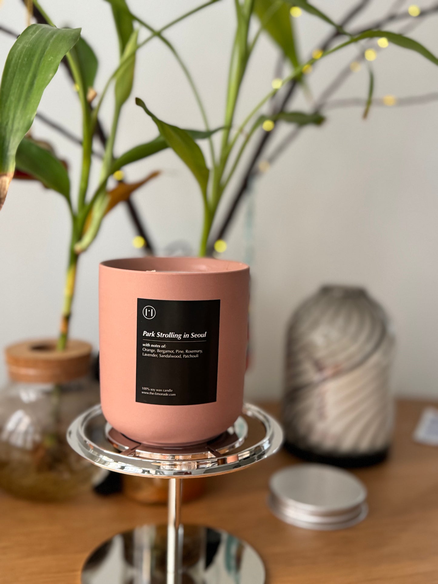 Park Strolling in Seoul